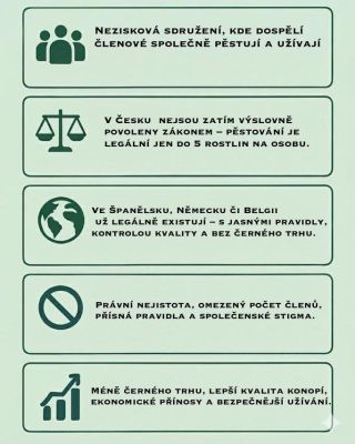 🌿 Co je to ko*opný klub a jaké má výhody pro své členy? 👉 Celý článek najdete na našem blogu – odkaz v biu.