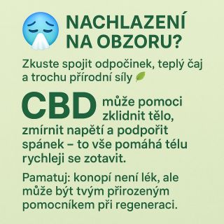 🤧 Cítíš, že na tebe něco leze? Dej tělu odpočinek, teplý čaj a trochu přírodní podpory 🌿 CBD ti může pomoci zklidnit mysl...