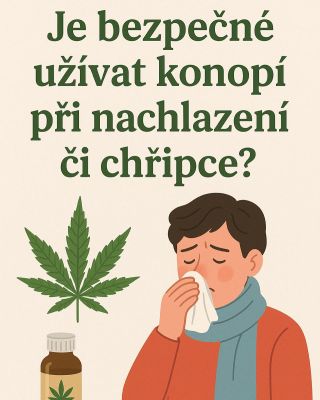 🤧🌿 Kon*pí a nachlazení – jde to dohromady? Chladné dny jsou tady a s nimi i rýma, kašel a únava. Kon*pí (zejména to s CBD)...