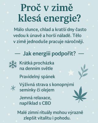V zimě nám energie často klesá – krátké dny, méně slunce a chlad zpomalují přirozený rytmus těla 🌨️❄️. CBD může pomoci...