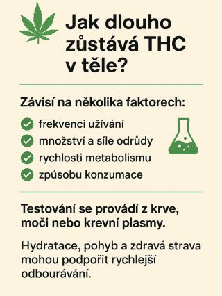 🧠 Jak dlouho zůstává T* C v těle? T*C se v těle drží déle, než trvá jeho účinek. ⏳ 👉 Jednorázově: 1–3 dny 👉 Pravidelně: až...